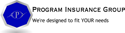 Program Insurance Group